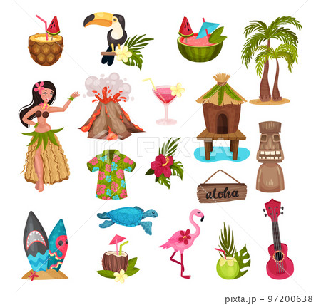 Hawaiian Aloha Symbols and Exotic Island Attribute Big Vector Set 97200638