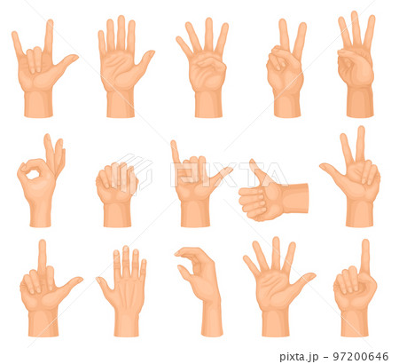 Human Hands Showing Different Gestures Big Vector Set 97200646