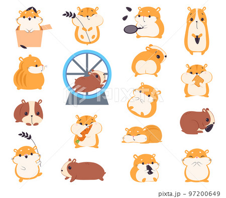 Cute Hamster Character with Stout Body Engaged in Different Activity Big Vector Set 97200649