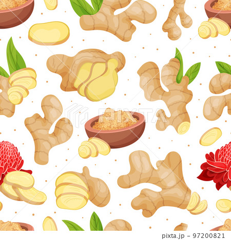 Organic Ginger Seamless Pattern Design with Root and Blooming Flower Vector Template Organic Ginger Seamless Pattern Design with Root and Blooming Flower Vector Template 97200821