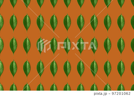 Creative seamless pattern of green leaves on orange background. Creative design in flat lay style. Top view. Mock-up. 97201062