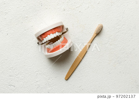 Closeup model of a human jaw with white teeth and Toothbrush. Dentistry conceptual photo. Prosthetic dentistry. False teet top view with copy space Closeup model of a human jaw with white teeth and Toothbrush. Dentistry conceptual photo. Prosthetic dentistry. False teet top view with copy space 97202137