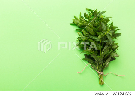 Fresh mint bunch on colored table. Top view with copy space 97202770