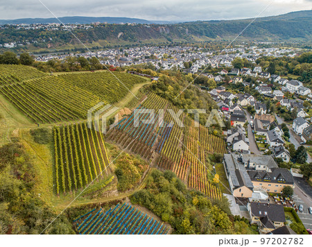 Aerial view Famous German Wine Region Moselle River Lay and Guels village Autumn Fall colors 97202782