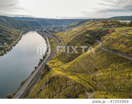 Aerial view Famous German Wine Region Moselle River Lay and Guels village Autumn Fall colors 97202809