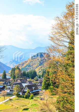 秋の五箇山　相倉合掌造り集落　富山県南砺市 97203686