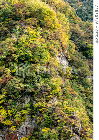 荒川二瀬ダムの岩肌の紅葉 97203857