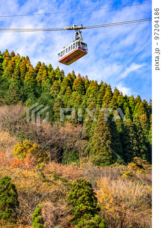 別府ロープウェイと紅葉 別府ロープウェイと紅葉 97204186