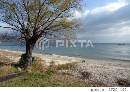 北小松漁港　湖畔の風景　滋賀県大津市北小松 97204195