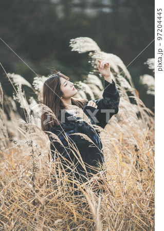 ススキと女性ポートレート 97204445