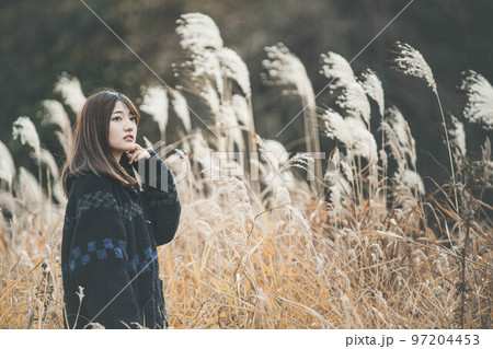 ススキと女性ポートレート 97204453