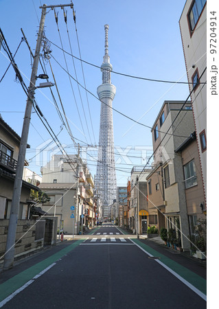 小梅牛島通りから見た東京スカイツリー 小梅牛島通りから見た東京スカイツリー 97204914