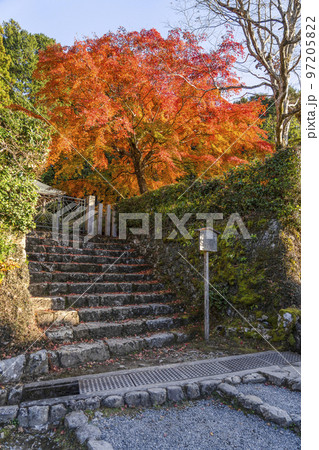 京都大原　法華堂入口の紅葉 97205822