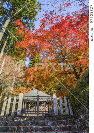 京都大原　法華堂入口の紅葉 97205827