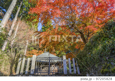 京都大原　法華堂入口の紅葉 97205828