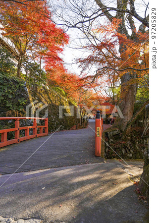 京都大原 津川に架かる「茅穂橋」「未明橋」 京都大原 津川に架かる「茅穂橋」「未明橋」 97205829