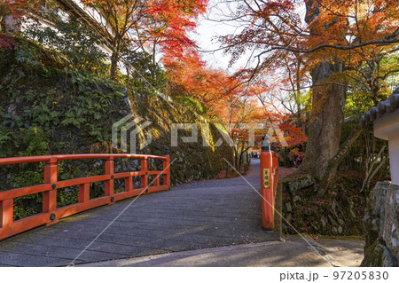 京都大原　津川に架かる「茅穂橋」「未明橋」 97205830