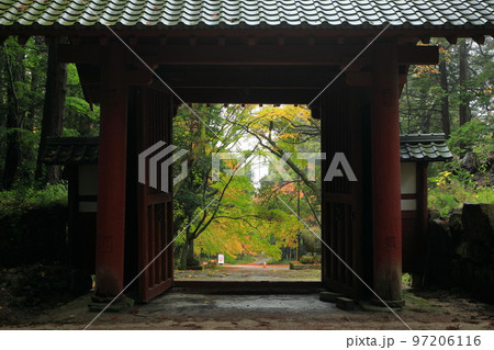 百済寺赤門と紅葉 百済寺赤門と紅葉 97206116