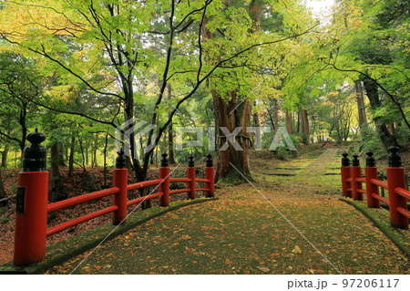紅葉の百済寺極楽橋(赤い橋) 紅葉の百済寺極楽橋(赤い橋) 97206117