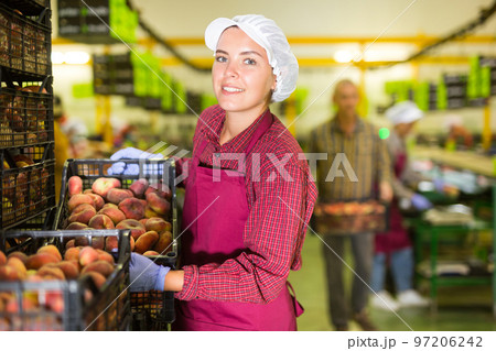 Young woman standing beside boxes of peaches Young woman standing beside boxes of peaches 97206242