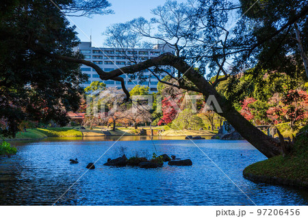 秋の東京 紅葉の小石川後楽園 大泉水 秋の東京 紅葉の小石川後楽園 大泉水 97206456