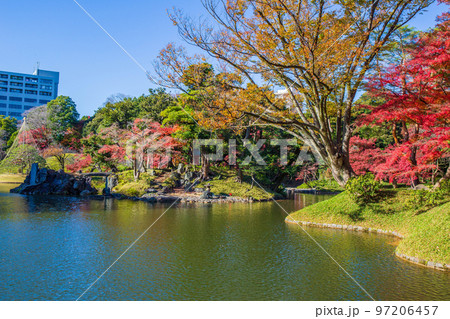 秋の東京　紅葉の小石川後楽園　蓬莱島 97206457