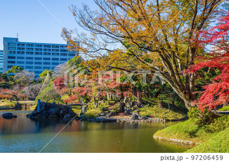 秋の東京　紅葉の小石川後楽園　蓬莱島 97206459