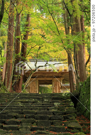 紅葉の百済寺の仁王門 紅葉の百済寺の仁王門 97206500