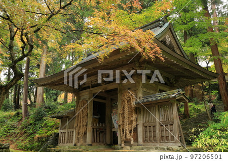 紅葉の百済寺仁王門の大わらじ 紅葉の百済寺仁王門の大わらじ 97206501