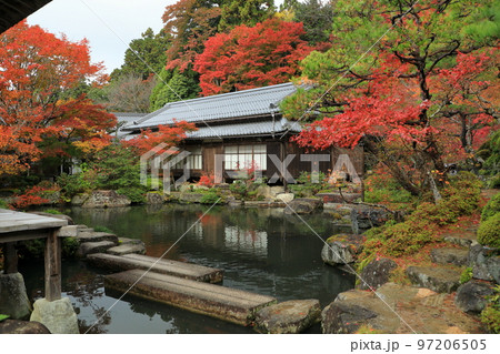 百済寺の池泉回遊式庭園の紅葉 百済寺の池泉回遊式庭園の紅葉 97206505