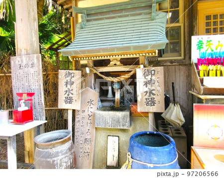 青島神社/宮崎県③ 97206566