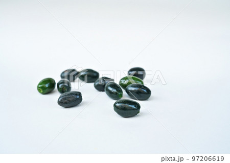 冬のホルトノキの実(白バック)(冬、十二月) 冬のホルトノキの実(白バック)(冬、十二月) 97206619