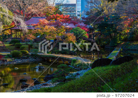 秋の東京 紅葉の小石川後楽園 渡月橋と西湖の堤 秋の東京 紅葉の小石川後楽園 渡月橋と西湖の堤 97207024