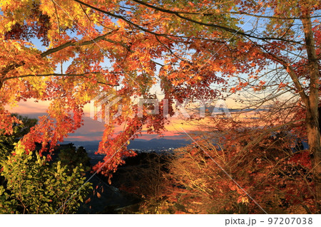 夕焼とモミジのライトアップ(百済寺庭園・遠望台) 97207038