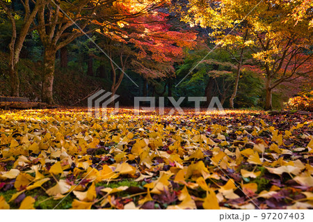 紅葉ー武周ヶ池 紅葉ー武周ヶ池 97207403