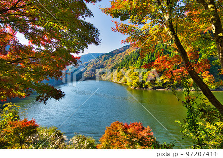 紅葉ー武周ヶ池 紅葉ー武周ヶ池 97207411