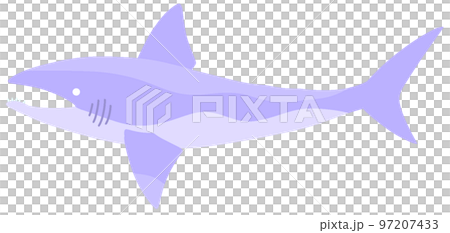 副螺旋菌屬 97207433