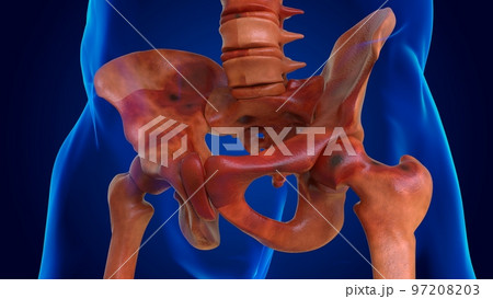 human damage skeleton all bones for medical concept 3D human damage skeleton all bones for medical concept 3D 97208203