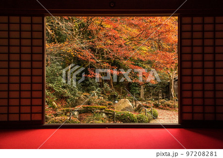 金剛輪寺の明寿院書院からの紅葉の庭 97208281