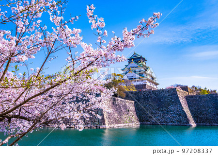 大阪城と満開の桜 97208337