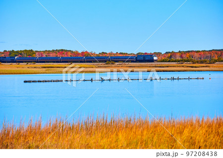 Amtrak train going through marshes in Maine with birds on floating sticks Amtrak train going through marshes in Maine with birds on floating sticks 97208438