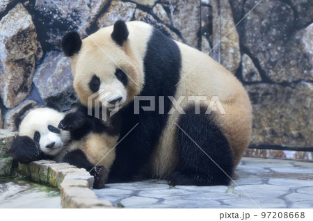 結浜と遊ぶ良浜ママ 97208668