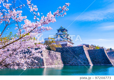 大阪城と満開の桜 97208773