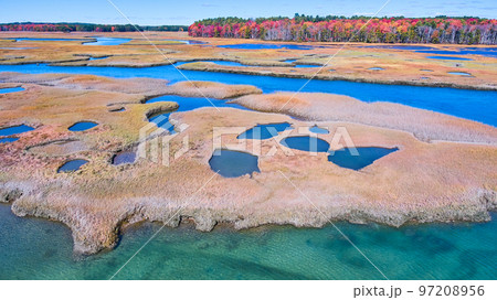 Patches of clear blue water in Maine marshes with fall forests in distance Patches of clear blue water in Maine marshes with fall forests in distance 97208956