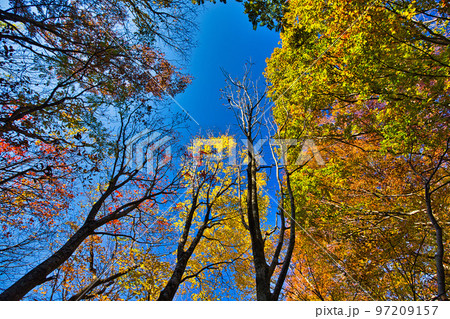 紅葉ー越知山 97209157