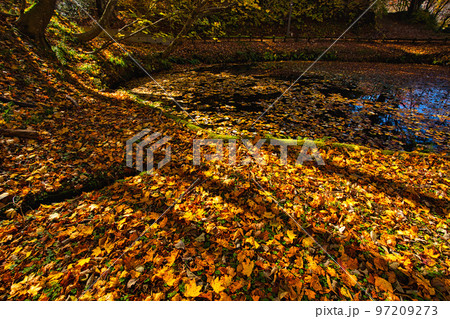 紅葉ー越知山 紅葉ー越知山 97209273