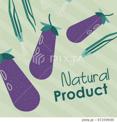 Natural product, eggplant aubergine vegetable 97209680