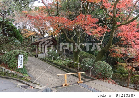 京都市の秋:興正寺境内へ至る参道・維新の道の風景 京都市の秋:興正寺境内へ至る参道・維新の道の風景 97210387