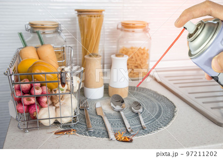 person killing cockroach with poison spray,  cockroach on dirty floor indoors, need for detection, and cockroaches also carry the germs to humans. 97211202