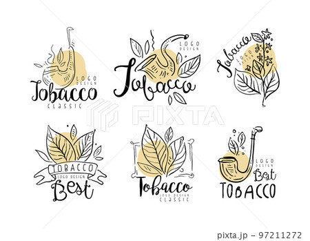 Tobacco Logo Design with Smoking Pipe and Plant Leaves in Hand Drawn Style Vector Set 97211272